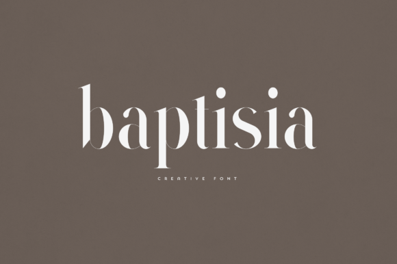Baptisia Serif Font for Handmade Branding