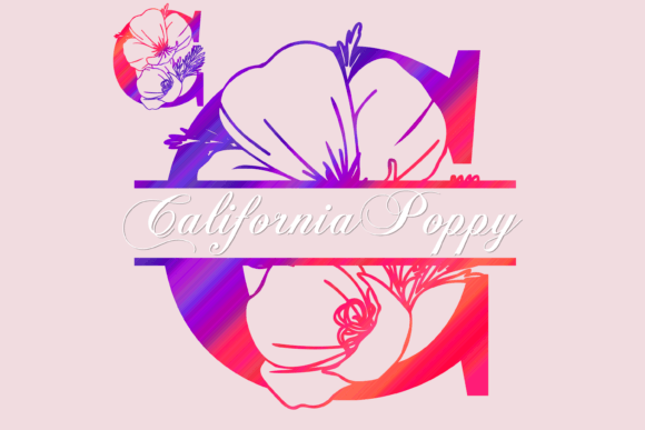 California Poppy Split: A Designer’s Review