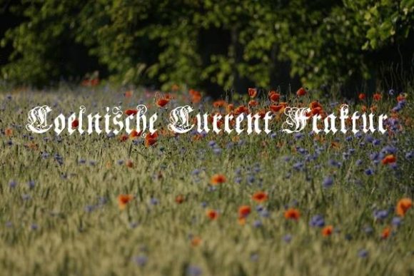 Coelnische Current Fraktur Font Review
