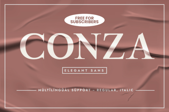 Conza: A Clean Serif Typeface for Small Business Branding