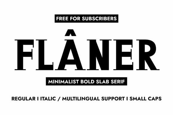 Flaner Font: Elevate Your Brand Identity