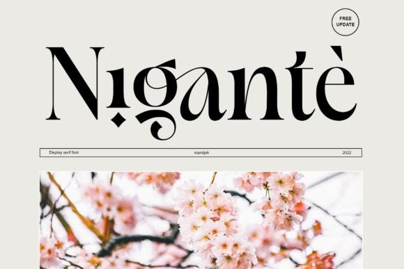Nigante Font: Elevate Your Brand Identity