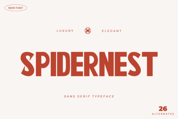 Spidernest: A Modern Sans Serif Font for Web Design